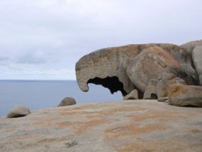 Der Adlerkopffelsen der Remarkable Rocks