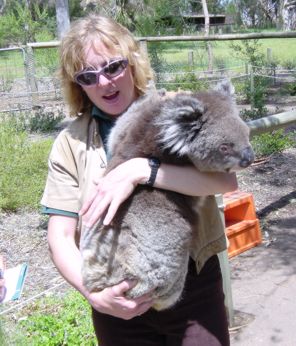 Mitarbeiterin des Parks mit besonders schwerem Koala