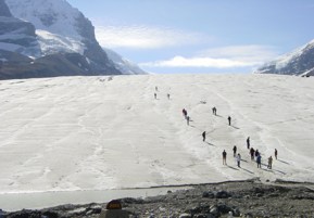 Columbia Eisfeld - Atabasca Gletscher